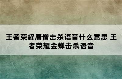 王者荣耀唐僧击杀语音什么意思 王者荣耀金蝉击杀语音